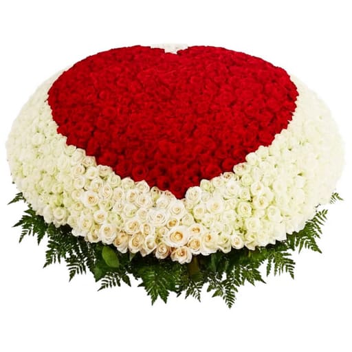 501 Roses