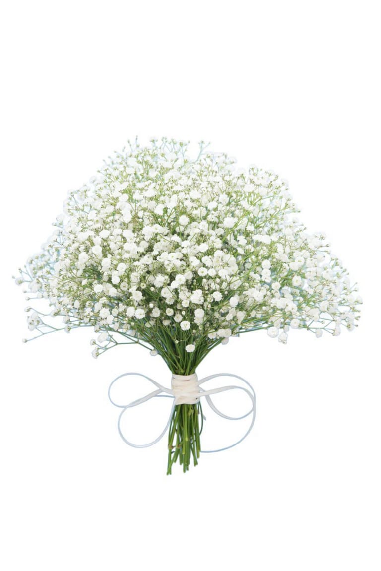 White Pearls - Image 1