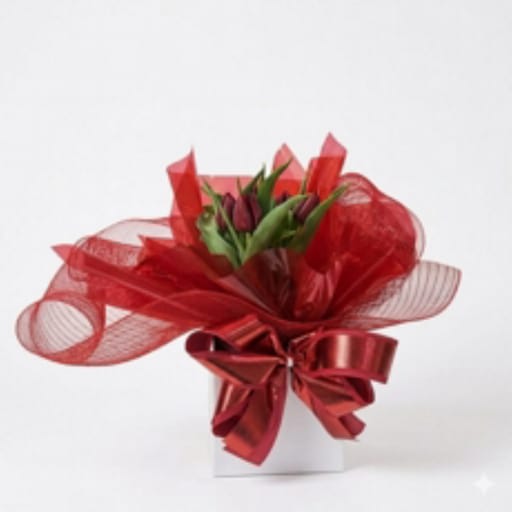 Tulipa Premium