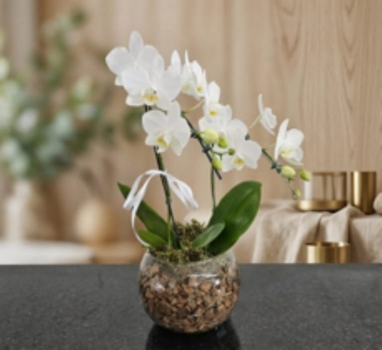 Mini Orquídea Cascata Branca