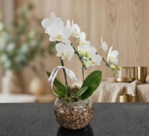 Mini Orquídea Cascata Branca