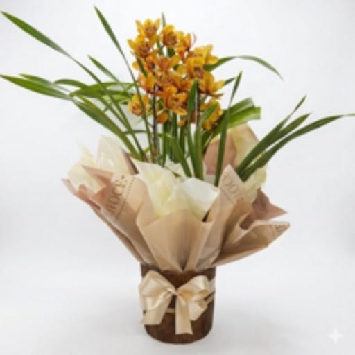 Orquídea Cymbidium 