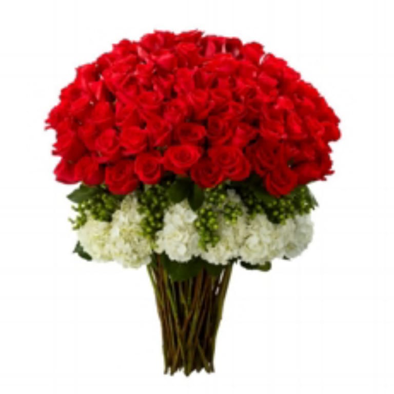 Buque Mega Botão 150 Rosas Importadas Vermelhas