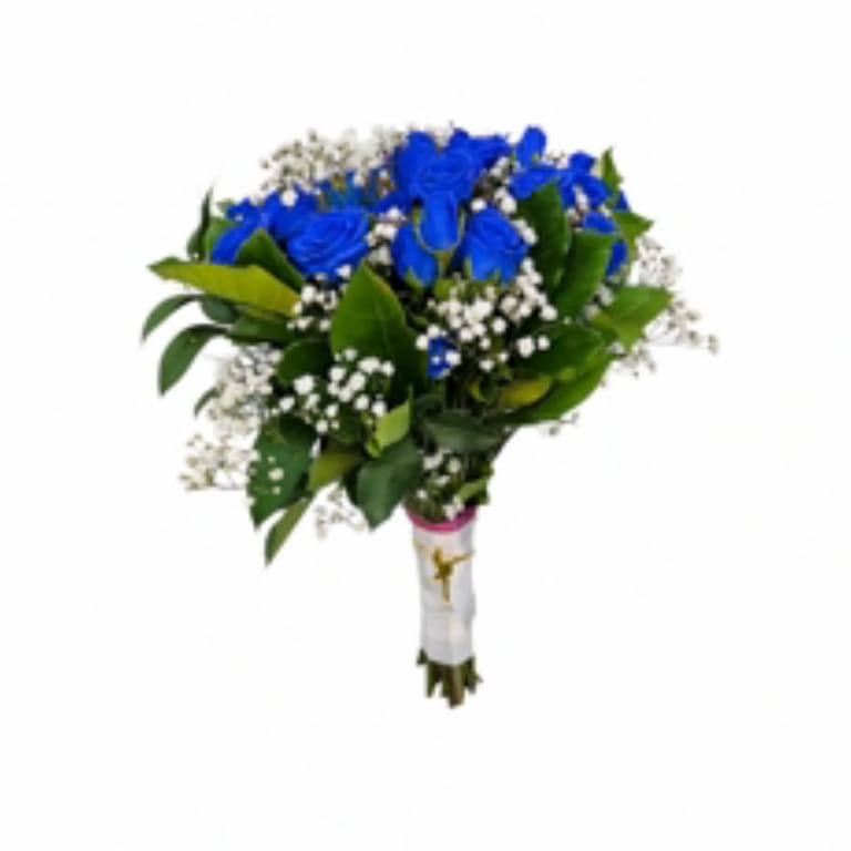 Buque Bailarina Azul