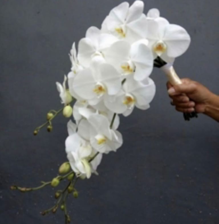 Buque De Noiva Cascata De Orquídeas
