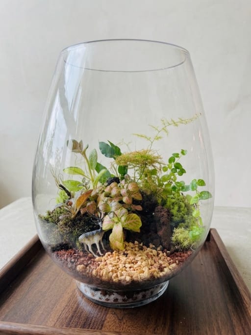 The Woodland Meadow Terrarium