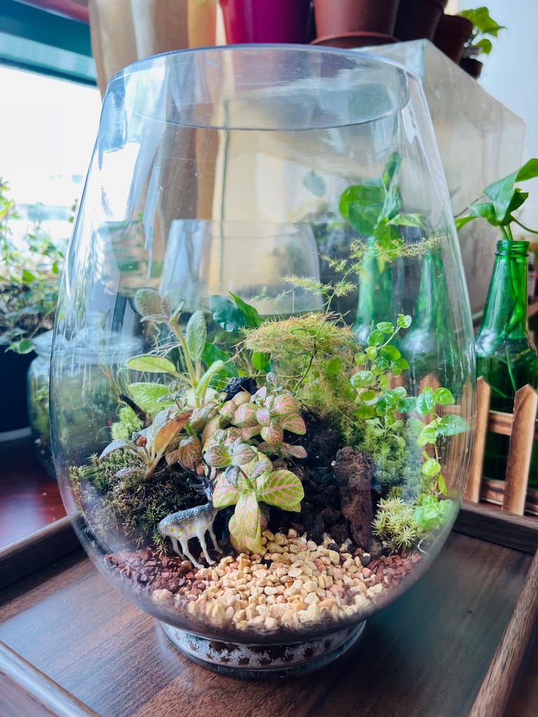 The Woodland Meadow Terrarium - Image 2