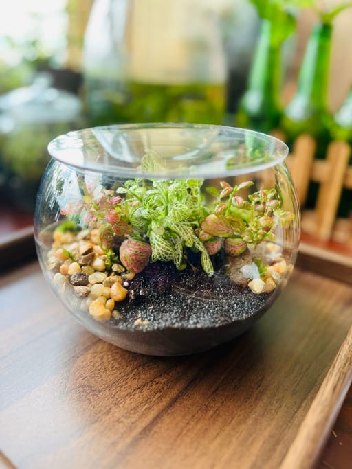 The Mosaic Garden Bowl