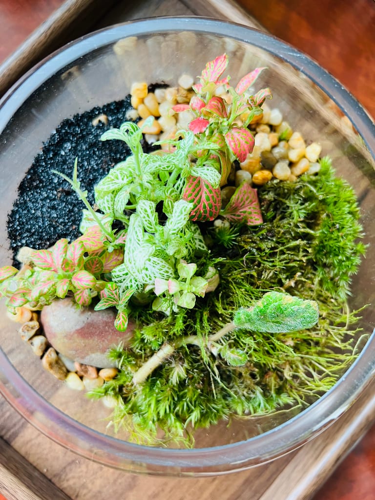 The Mosaic Garden Bowl - Image 3