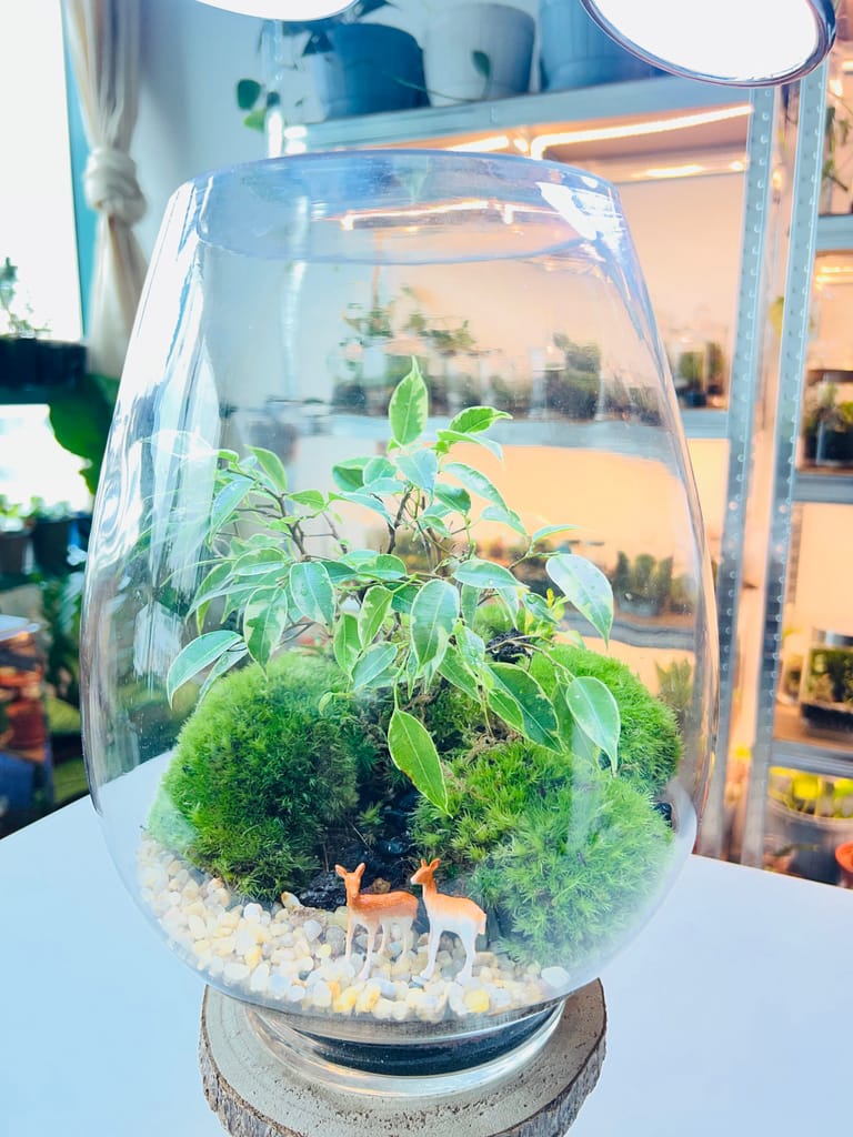 The Deer Sanctuary Terrarium - Image 2