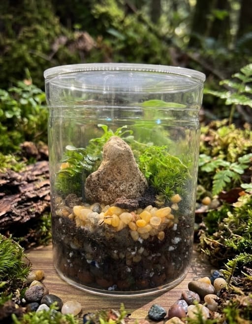 The Mossy Peak Terrarium 