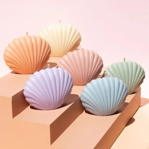 Seashell Bliss