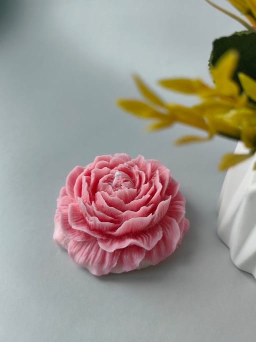 Bloom Peony