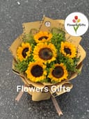 Photo 84782
