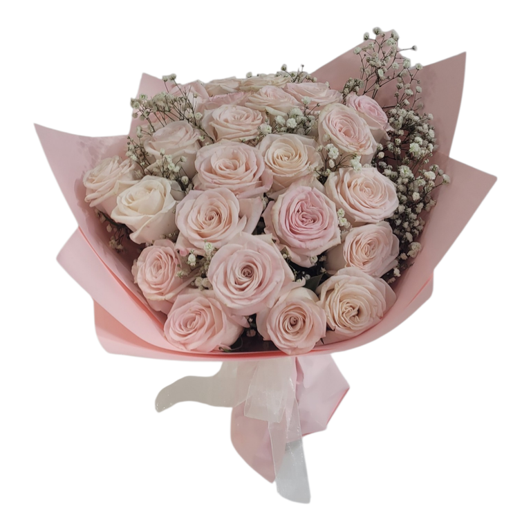 Sweet Pink Shimmer,  Roses