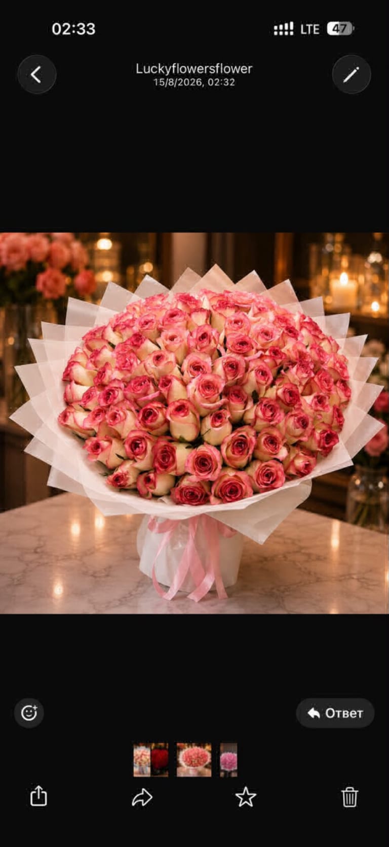Jumaila Bloom - Image 1