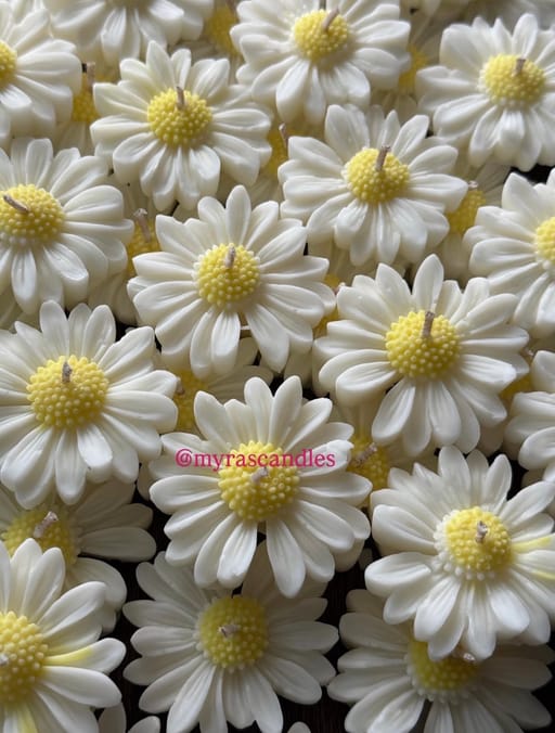 Daisy White Candle (set Of 10)