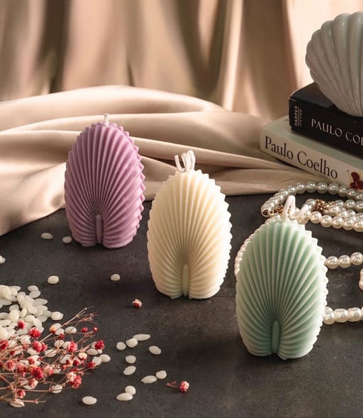 Elongated Seashell Candle (Set Of 3)