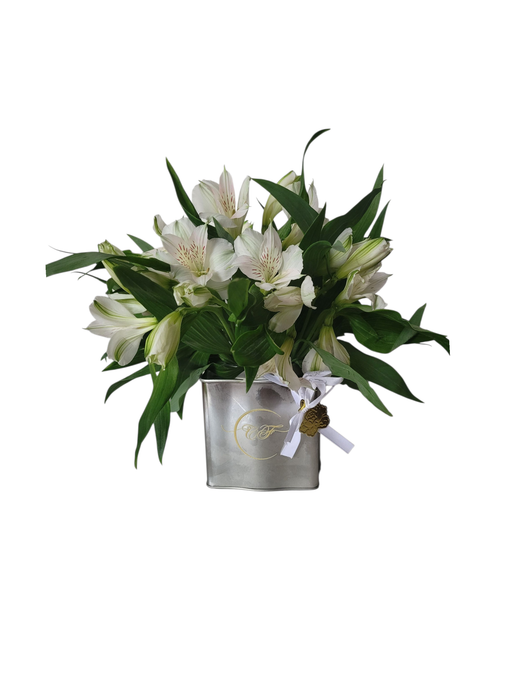 Modern Minimalist,  Alstomeria In Tin Jar