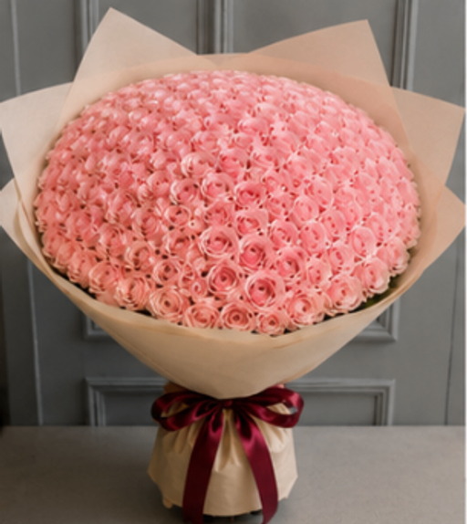 Blush Romance Infinity-101 Roses