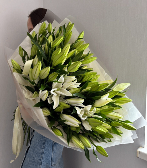 Pure Lily