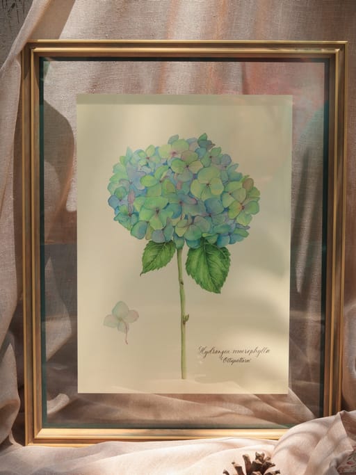 A3 Hydrangea seafoam