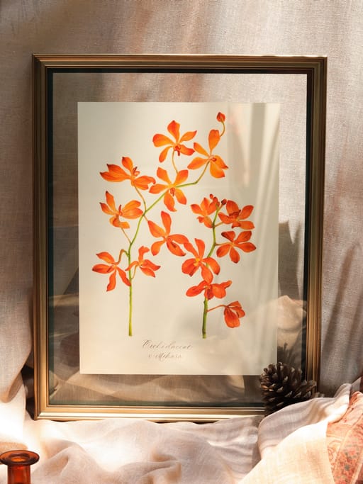 Orchid tangerine
