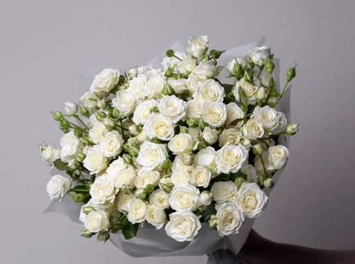 Jardin Blanc- S