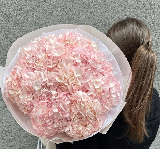 Hortensia Bloom- S