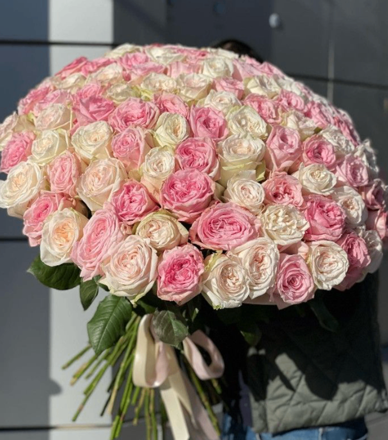 Douceur d’O’Hara( roses parfumees) - Image 2