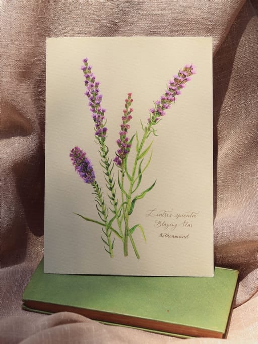 A4 fine art print 