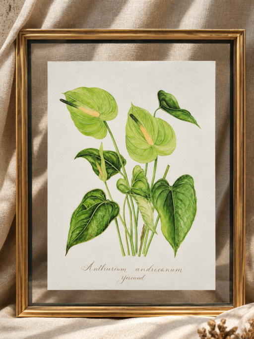 A3 fine art print