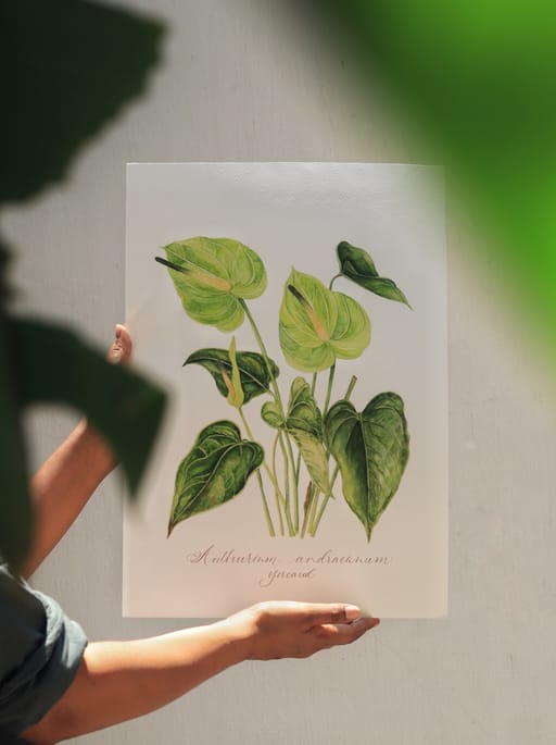 A4 fine art print