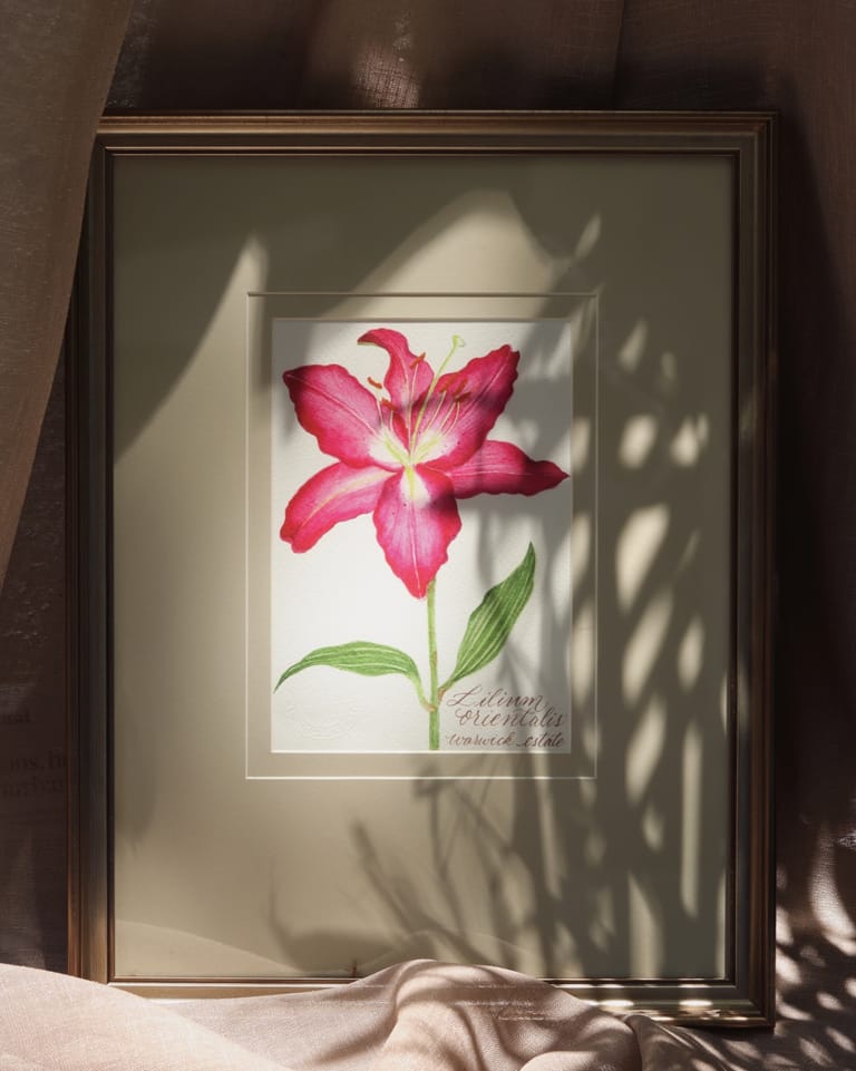 Lilium Orientalis - Image 1