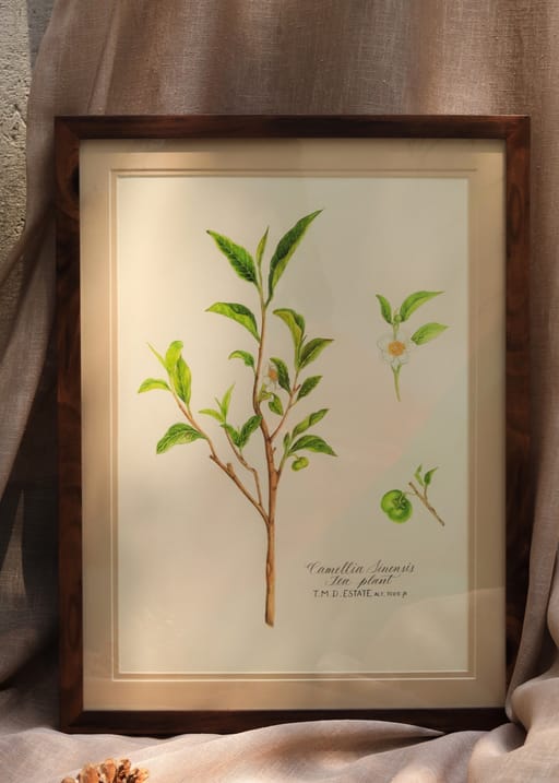 A4 Fine art print
