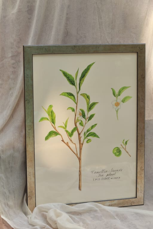 A5 Fine art print