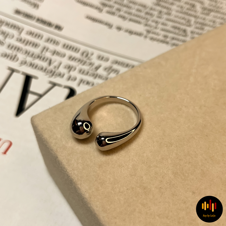 Vignette Silver Ring II | Stainless Steel | Adjustable - Image 1