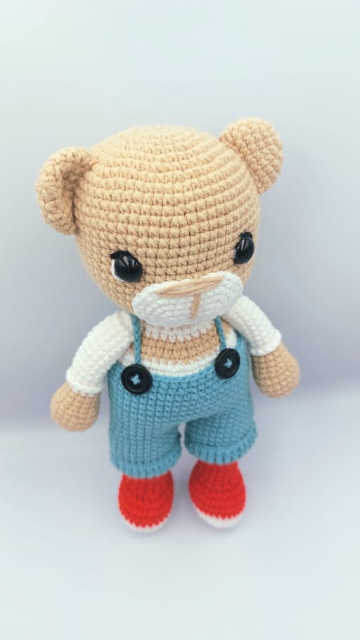 Teddy Bear Boy
