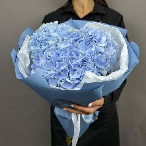 3 Blue Hydrangeas Luxury Bouquet-A790
