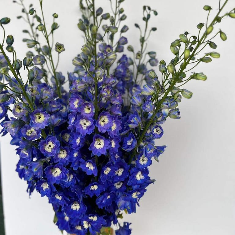 Blue Delphinium Vase-A51 - Image 3