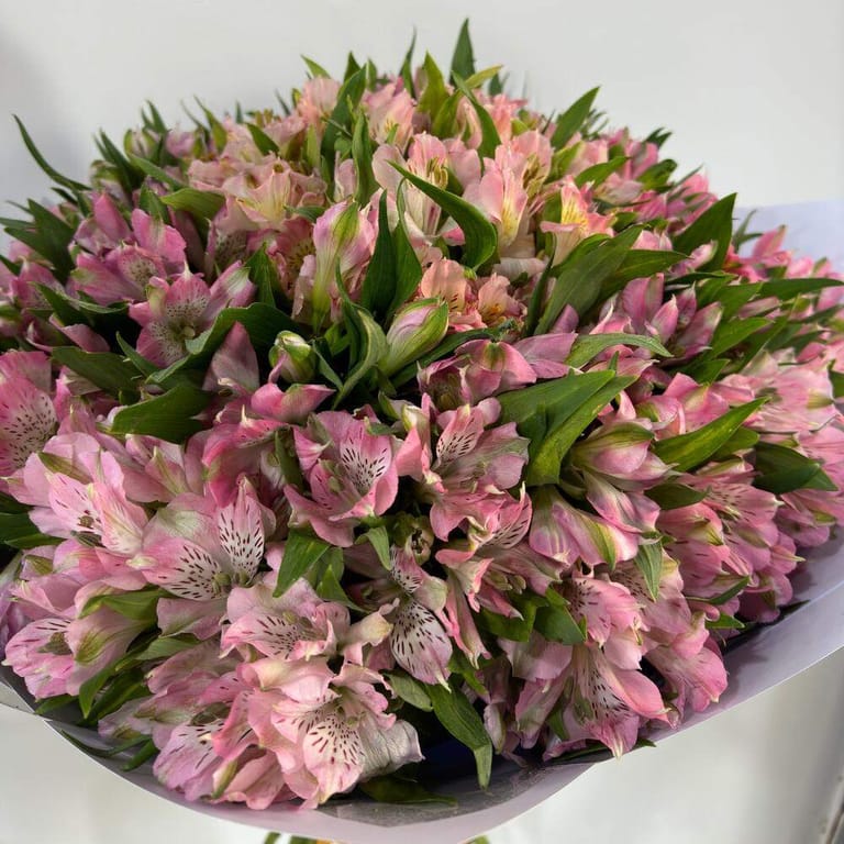 51 Pink Alstroemeria Bouquet-A74 - Image 2