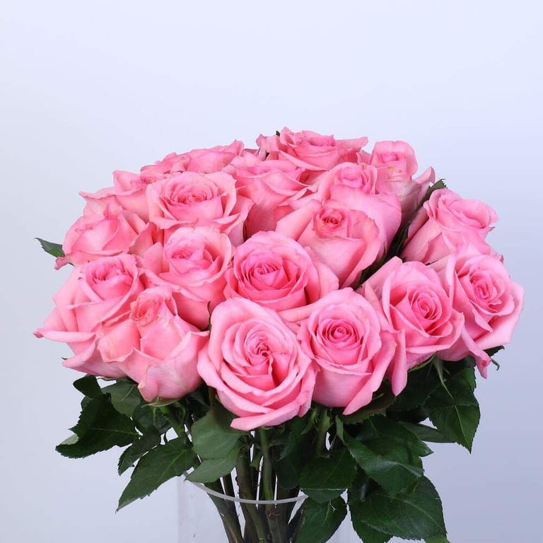 21 Pink Roses Vase-A80 - Image 2