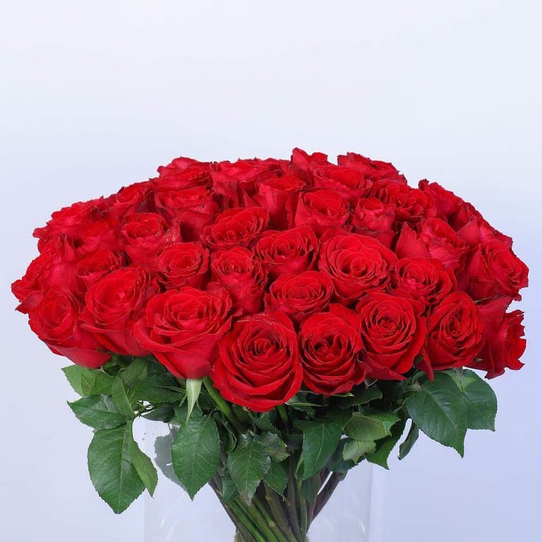 51 Red Roses Vase-A83 - Image 2