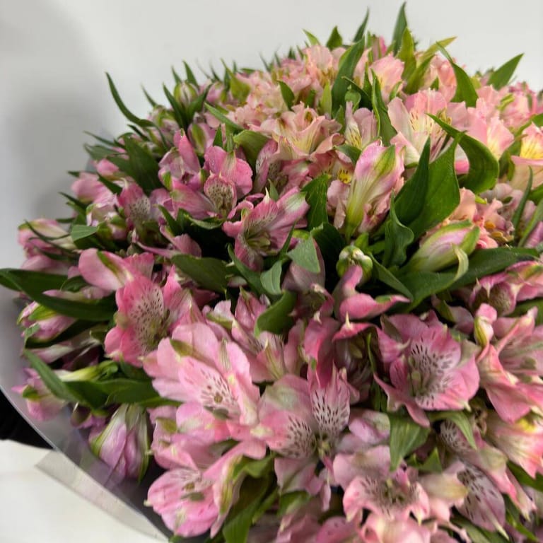 51 Pink Alstroemeria Bouquet-A74 - Image 3