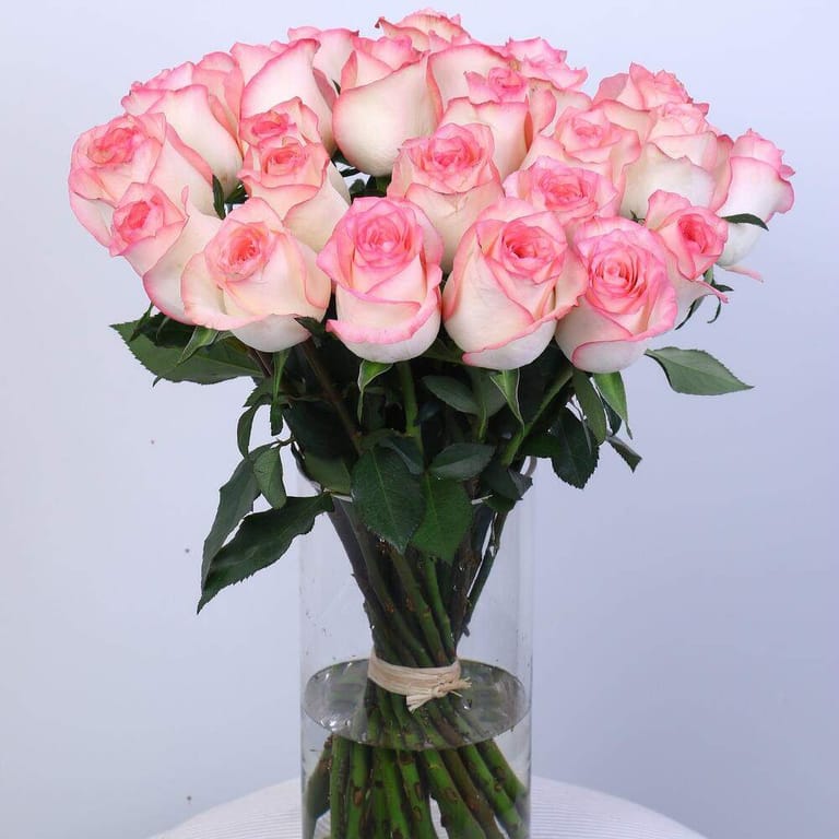 21 Pink Jumilia Rose Vase-A78 - Image 3