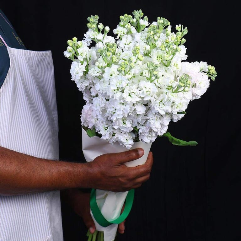 21 White Matthiola Flower Bouquet-A97 - Image 1