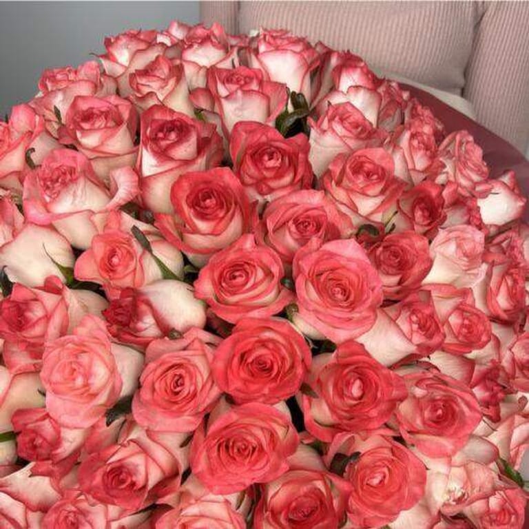 101 Grand Bi-Color Pink Rose Bouquet-A121 - Image 3