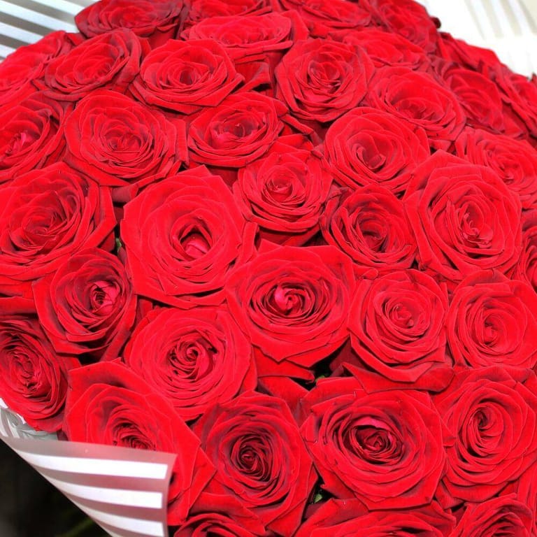 51 Luxurious Red Rose Bouquet-A116 - Image 4