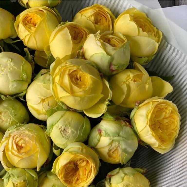 Bouquets Of Yellow Peony Rose-A169 - Image 4