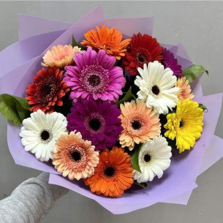 15 Colorful Gerbera Bouquet-A191 - Image 1